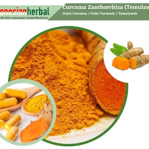 Capsule Of Giant Curcuma False Turmeric Temulawak (Curcuma Zanthorrhiza) Organic WildCrafted Fresh Natural Herbs