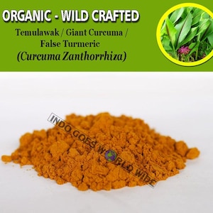 POWDER Giant Curcuma False Turmeric Temulawak Curcuma Zanthorrhiza Organic WildCrafted Fresh Natural Herbs FREE SHIPPING