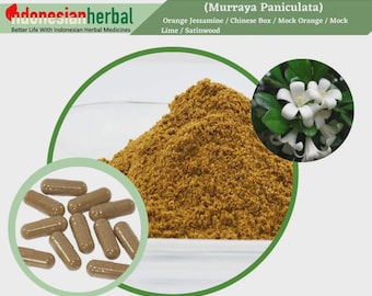 Capsule Of Orange Jessamine Chinese Box Mock Orange Mock Lime Satinwood (Murraya Paniculata) Herbs Supplement Extract