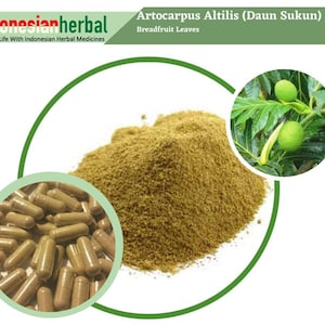 Capsule Of  Pure Breadfruit Leaves  Breadfruit Leaves (Artocarpus Altilis) Organic Fresh Natural Herbs