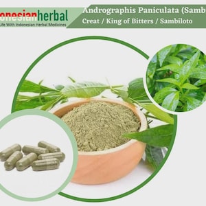 Capsule Of  Melaleuca Leucadendra Cajeput Tree Leaves Paperbark White Paperbark Organic WildCrafted Fresh Natural Herbs FREE SHIPPING