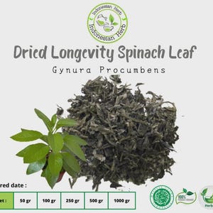 Dried Longevity Spinach Leaf Dry Gynura Procumbens Premium Organic Herbs Spices Fresh  Pure nfused tea