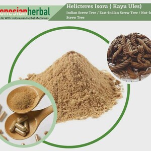 Capsule Of  Indian Screw Tree East-Indian Screw Tree Nut-leaved Screw Tree (Helicteres Isora) Organic WildCrafted Fresh Natural Herbs