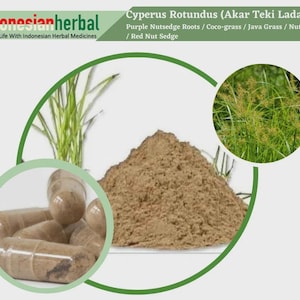 Capsule Of Pure Purple Nutsedge Roots  Coco-grass Java Grass Nut Grass Red Nut Sedge (Cyperus Rotundus)