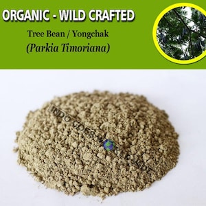 POWDER Tree Bean Yongchak Parkia Timoriana Organic WildCrafted Fresh Natural Herbs FREE SHIPPING