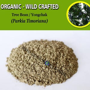 POWDER Tree Bean Yongchak Parkia Timoriana Organic WildCrafted Fresh Natural Herbs FREE SHIPPING