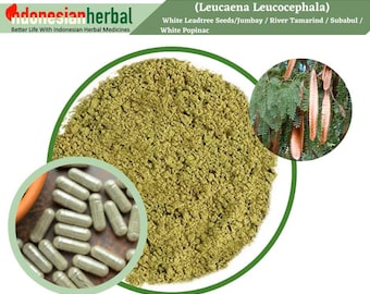 Capsule Of PURE White Leadtree Seeds Jumbay River Tamarind Subabul (Leucaena Leucocephala) Organic WildCrafted Herbs Supplement