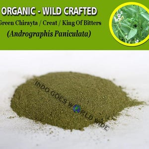 POWDER Pure Of Green Chirayta Creat King of Bitters Sambiloto Andrographis Paniculata Organic WildCrafted Fresh Natural Herbs FREE SHIPPING