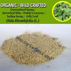 POLVO Arrowleaf Sida Roots Paddy&#39;s Lucerne Jelly Leaf Queensland-hemp Indian Hemp Sida Rhombifolia Organic WildCrafted Fresh Natural Herbs