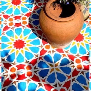 May include: A terracotta pot sits on a floor with a geometric pattern of blue, red, white, and yellow. The pattern is reminiscent of a traditional Islamic design.