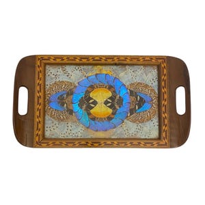 Vintage 16.75” Wooden Inlay Marquetry Frame Mosaic Butterfly Wing Tray Rare.