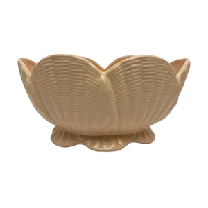May include: A light beige ceramic seashell-shaped bowl. The bowl has a textured surface and sits on a scalloped base. The interior is smooth, and the edges curve upwards. This decorative bowl is suitable for coastal decor.