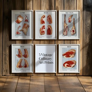 Op de afbeelding: Set van vijf vintage culinaire kunstprints met illustraties van verschillende vleessoorten, waaronder rundvlees, lamsvlees en schapenvlees. De prints zijn wit ingelijst en hebben een lichtblauwe achtergrond.