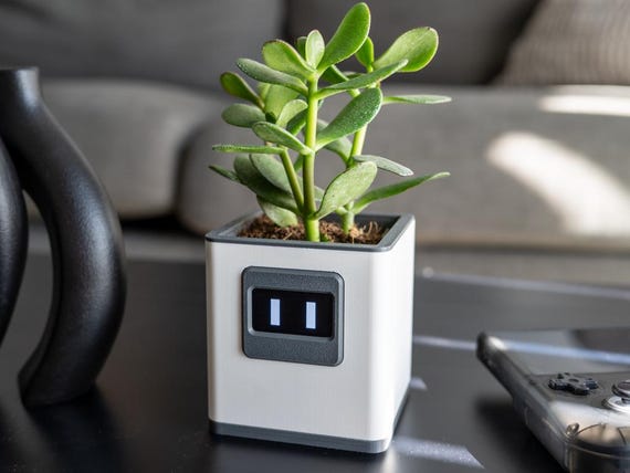 Digital Files Only | Smart Plant Pot DIY | Arduino Based - Etsy