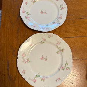 Limoges Dinner Set - Etsy