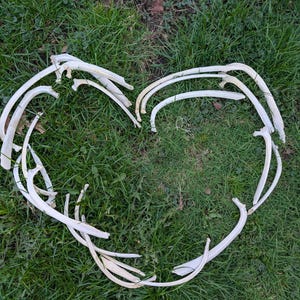 Peut inclure: Une forme de cœur faite d'os blancs sur un lit d'herbe verte.