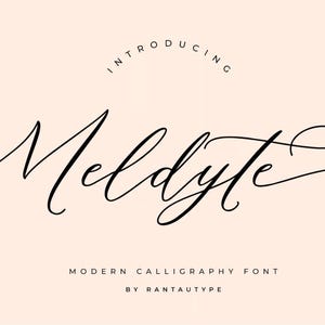 Calligraphy Font, Script Font, Wedding Font, Modern Font, Handwritten Font, Cricut Font, Cursive Font, Font For Cricut, Canva Font