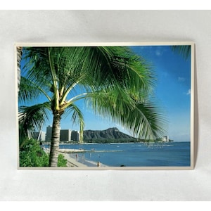 May include: A postcard featuring a tropical beach scene with a palm tree in the foreground. The image shows a blue ocean, a sandy beach, and buildings in the distance under a clear blue sky.