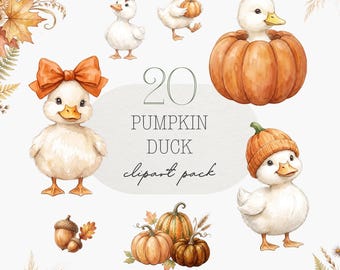 Pumpkin Duck Clipart, Little Pumpkin Baby, Duck in Pumpkin, Fall Duck PNG, Cute Fall Clipart, First Birthday Clipart, Watercolor Duckling