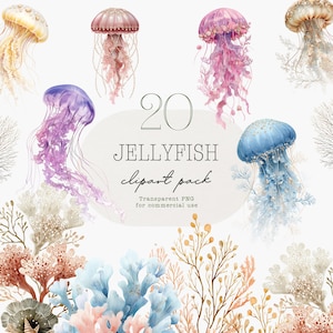 May include: A collection of 20 watercolor jellyfish clip art in various colors, including pink, purple, blue, and yellow. The image also features coral and seaweed illustrations. Text on the image reads "20 JELLYFISH clipart pack. Transparent PNG for commercial use."