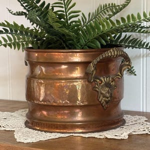 May include: A cylindrical copper planter with a hammered finish and two brass handles shaped like stylized animal heads. The planter features horizontal ridges along the body and contains a green fern plant with multiple fronds.