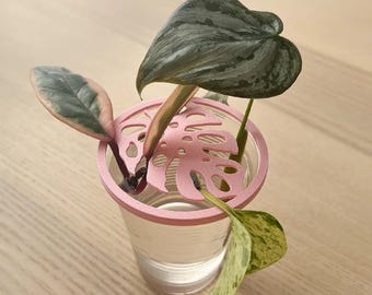 Plant propagation lid holder topper