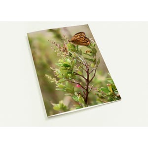 10er Pack Grußkarten - Wunderschöner Schmetterling