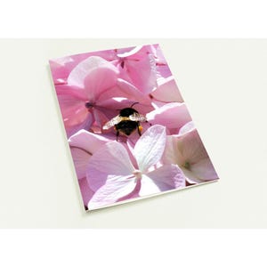 10er-Pack Grußkarten - Honigbiene auf rosa Blumen