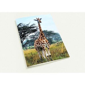 10er Set Grußkarten - Giraffe im Uganda Design