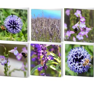 Pack of 10 Assorted Greeting Cards - Enchanted Blooms - floral, flowers, purple, thinking of you, congratulations, happy birthday, good luck