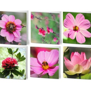 Pack of 10 Assorted Greeting Cards - Pretty in Pink - florals, flowers, pink, thinking of you, congratulations, happy birthday, good luck