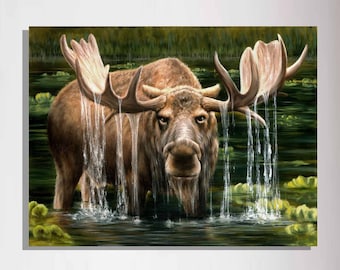 Moose in Lake Painting, Wildlife Art, Limited Edition Canvas Print