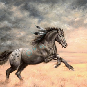 May include: A black and white spotted horse with turquoise markings runs through a field of tall grass. The horse has a long flowing mane and tail, and is adorned with feathers. The sky is a stormy gray with white clouds.