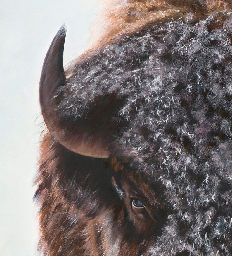 Print on Canvas, Buffalo Painting Bison Wildlife Art Personalized Canvas Print image 3