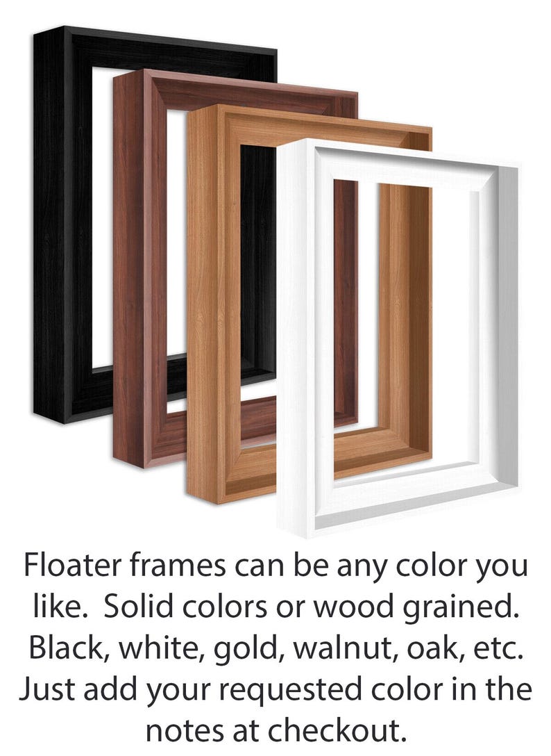 May include: Four different color options for a floater frame. The frames are shown in black, brown, gold, and white. Floater frames can be any color you like. Solid colors or wood grained. Black, white, gold, walnut, oak, etc. Just add your requested color in the notes at checkout.