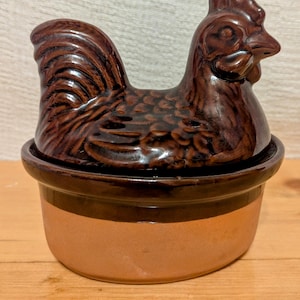 Grote terracotta braadpan met kippenhaan op nest