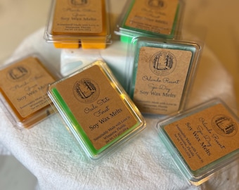 Op de afbeelding: Zes sojawasmelts in doorzichtige plastic containers met bruine papieren etiketten. De etiketten bevatten een logo van een boom en de tekst "Soy Wax Melts". De geuren zijn Ocala State Forest, Orlando Resort Spa Day en Orlando Resort Spa Day.