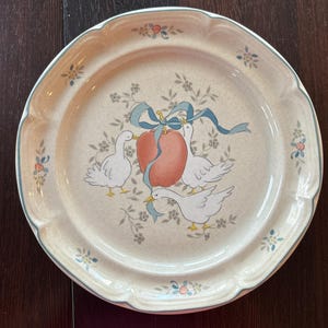 Cottagecore Speiseteller SET – International Steinzeug Marmalade – Cottagecore Geese Motiv, Vintage Küche, Shabby Chic Geschirr