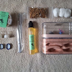 Amoma Small Ant Keeping Kit with Habitat, Nectar, Food, Bowls, and Tools