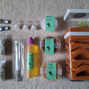 Amoma Medium Ant Keeping Kit with Habitat, Nectar, Food, Bowls, and Tools