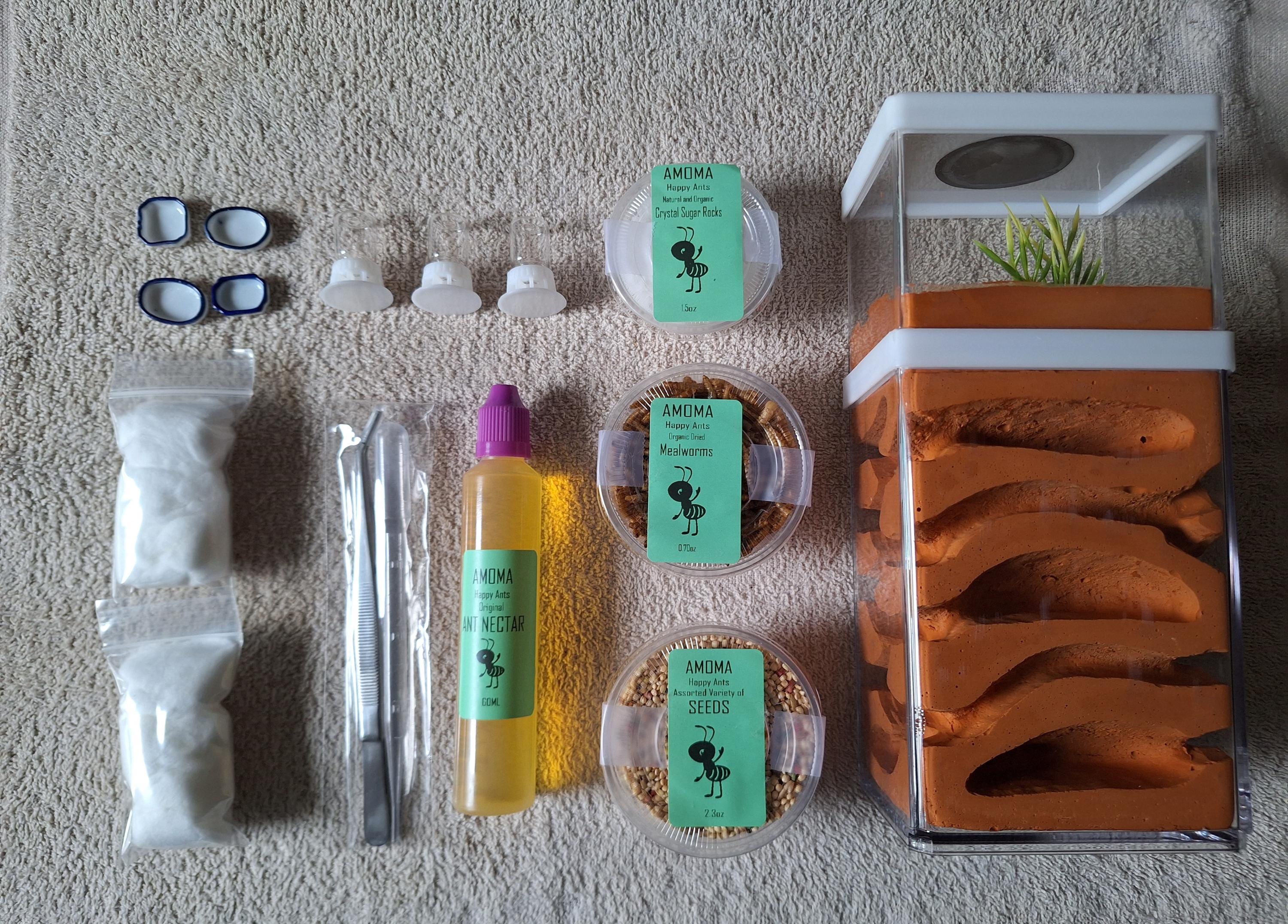 Amoma Medium Ant Keeping Kit with Habitat, Nectar, Food, Bowls, and Tools