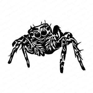 Jumping Spider SVG - Cute Realistic Spider, Arachnid Clipart, Halloween SVG Cut File for Cricut, Jumping Spider Vector for Decals, T-Shirts