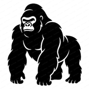 Könnte beinhalten: Schwarz-weiße Illustration eines Gorillas in stehender Position. Der Gorilla blickt nach vorne, die Arme an den Seiten. Das Bild ist ein einfaches, grafisches Design.