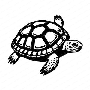 Sea Turtle SVG Digital Image File, Transparent PNG, JPG, Ocean Tortoise, Vector Graphic for Cutting Machines, Shadow Box and Craft Projects