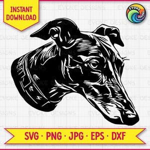 Immagine digitale di file SVG di Greyhound, PNG trasparente di Whippet, JPG, grafica vettoriale pulita per macchine da taglio, Shadow Box e progetti artigianali