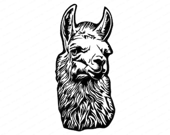 Llama SVG - Alpaca Clipart, Funny Llamazing Llama Face SVG, Llama PNG, No Drama Llama Cricut Svg, Llama Silhouette Vector (Digital Download)