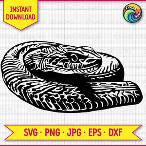 SVG-snijbestand slang, realistisch ontwerp, eenvoudig onkruid voor snijmachines, Shadow Box and Crafts, cadeau reptielenminnaar, transparante png digitaal