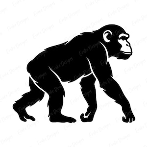 Può includere: Una solida silhouette grafica nera di uno scimpanzé mostrato di profilo, che cammina a quattro zampe. Il design presenta linee pulite e audaci che raffigurano la postura, gli arti e i tratti del viso del primate su uno sfondo bianco.