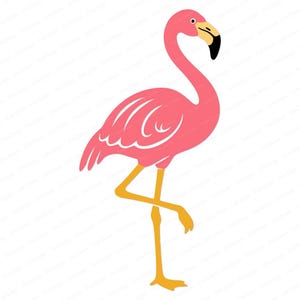 Pode incluir: Uma ilustração gráfica de um flamingo cor-de-rosa em pé sobre uma perna. A ave apresenta um pescoço longo e curvo, um bico amarelo com a ponta preta e pernas amarelas finas. O corpo é de cor rosa sólida com detalhes de linhas brancas.