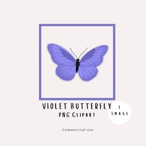 May include: A violet butterfly illustration with detailed wing patterns, set within a lavender square frame. The image includes the text "VIOLET BUTTERFLY PNG CLIPART" and "1 IMAGE". The design is suitable for commercial use.